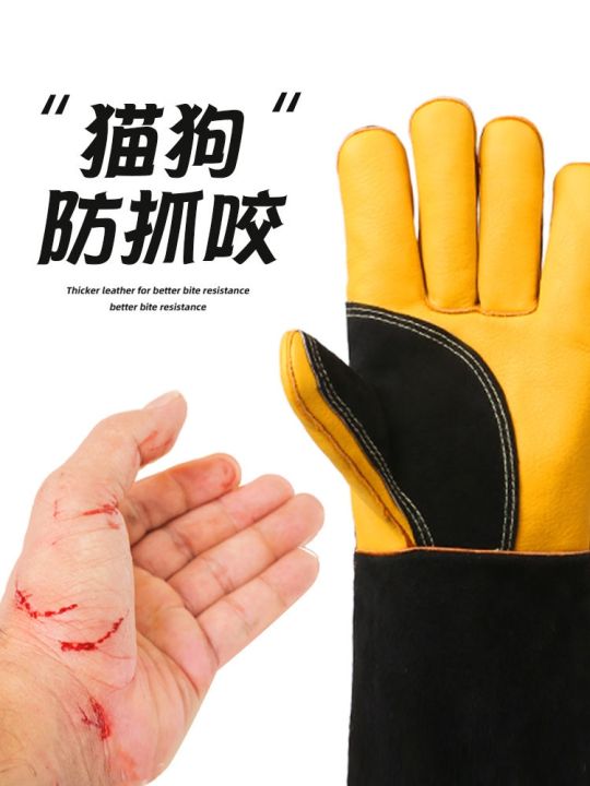 high-end-original-pet-anti-bite-gloves-dog-training-thick-anti-cat-scratching-cat-paw-catching-animals-feeding-cats-and-dogs-protecting-food-bite-training-dogs