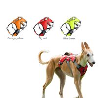 【FCL】✉ Reflective Dog Harness No Pull Adjustable Medium Large Naughty Safety Vehicular Lead Walking