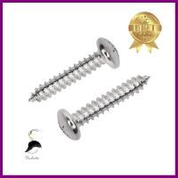 สกรูเกลียวปล่อย TP DEXZON 10X1 นิ้ว 30 ตัวSELF-TAPPING SCREW TP DEXZON 10X1IN 30PCS **ขายดีที่สุด**