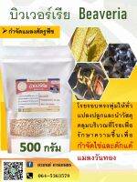 บิวเวอร์เรีย 500 กรัม สูตรเม็ด กำจัดแมลง กำจัดแลงวันทอง กำจัดแมลงวันทองในชมพู่ ผลิตจากธรรมชาติ 100%