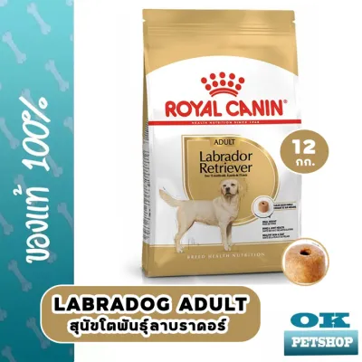หมดอายุ2/4/24 Royal canin Labrador Retriever Adult 12 Kg อาหารสุนัขโตพันธุ์ลาบราดอร์
