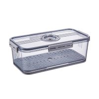 Plastic Food Storage Box Container with Lid and Drain Tray Timing Function Fridge Produce Saver Refrigerator Organizer Keeper