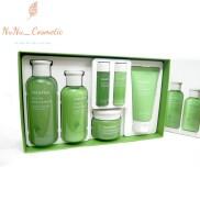 HCMAUTH BỘ DƯỠNG TRÀ XANH INNISFREE GREEN TEA BALANCING SPECIAL SKIN CARE