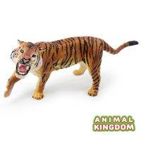 Animal Kingdom - โมเดล Tiger แม่เสือโคร่ง ขนาด 15.00 CM (จากสงขลา)