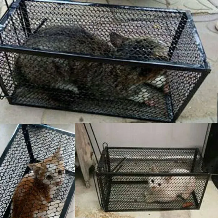 YAUSHING Large mouse cage cage to catch the cat cat catchers artifact
