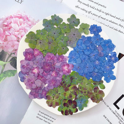 120pcs500pcs Pressed Flower For Resin Double Petals Hydrangea Dried Flowers Jewelry DIY Crafts Nails Decor Candle Soap Making