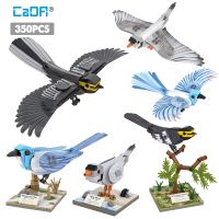 ป่าร้อน LIN431 - ✢ Cada of Florida Scrub-jay Blocks Charadrius Melodus Bricks Educational for Children Birthday