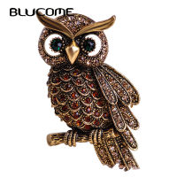 Blucome Vintage นกฮูกเข็มกลัด Corsage ผ้าพันคอคลิปคริสตัล Parrots เข็มกลัด Lapel Pin Broches เครื่องประดับผู้หญิง Lady เสื้อกันหนาวหมวก Buckles