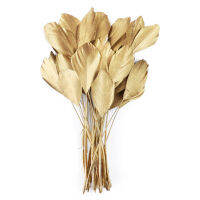 10pcs Gold Goose Feather ขนนกห่านธรรมชาติสำหรับเครื่องประดับ DIY งานฝีมือทำอุปกรณ์ตกแต่งขนนกสำหรับงานฝีมือ Bulk-final1