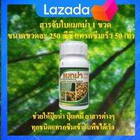 สารจับใบแมกม่า ขนาดขวดละ 250 ซีซี 1 ขวด ช่วยให้ปุ๋ยน้ำ ยา สารฮอร์โมนต่างๆ ทุกชนิด แทรกซึมเข้ากับพืชได้เร็วภายใน 1 - 2 นาที