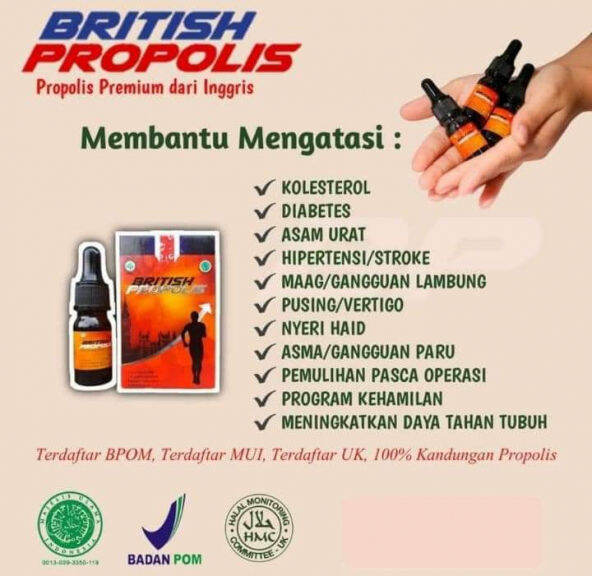 British Propolis Asli Original Cegah Virus Tingkatkan Daya Tahan Tubuh Lazada Indonesia