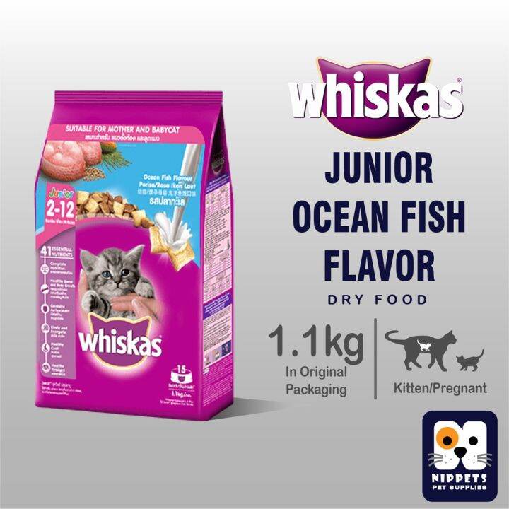 Whiskas Junior Ocean Fish Flavour Dry Cat Food For Mothers and Kittens