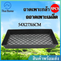 Thai Home “เเพ็คละ 5 ใบ” ถาดเพาะกล้า 54x27x6cm ถาดไดโซะ ถาดปลูกต้นไม้ ถาดเพาะต้นอ่อน ถาดขนาดใหญ่ ถาดเพาะชำ