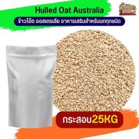 Hulled Oat Australia ข้าวโอ๊ต ออสเตรีย 25KG.