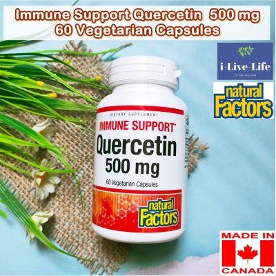 เควอซิทิน Immune Support Quercetin 500 mg 60 Vegetarian Capsules - Natural Factors เควอซิติน