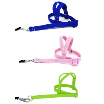 Bird Harness, Pet Parrot Bird Harness and Leash Flying Rope Straps Outdoor  Bird Flying Harness Training Traction Rope for Budgerigar Cockatiel Small