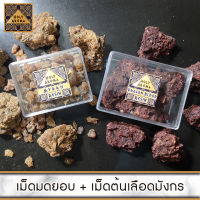 ชุดเครื่องหอม อโรม่า มดยอบ เม็ดมดยอบ เรซิ่น อโรม่า Myrrh Resin Gum Tear แท้ 100% 50g + เม็ด เรซิ่น ต้นเลือดมังกร อโรม่า Dragon Blood Resin Gum Tear แท้ 100% 50g