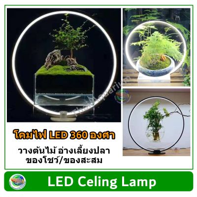 โคมไฟวงกลม LED 360 องศา ไฟตู้ปลา ไฟโชว์สินค้า 360 LED Lamp