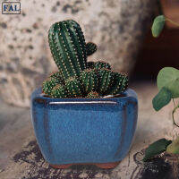 FAL Succulent Planter Pot Handmade Thick Ceramic Flower Pot With Drainage Hole Square Eastern Art For Indoor Outdoor New