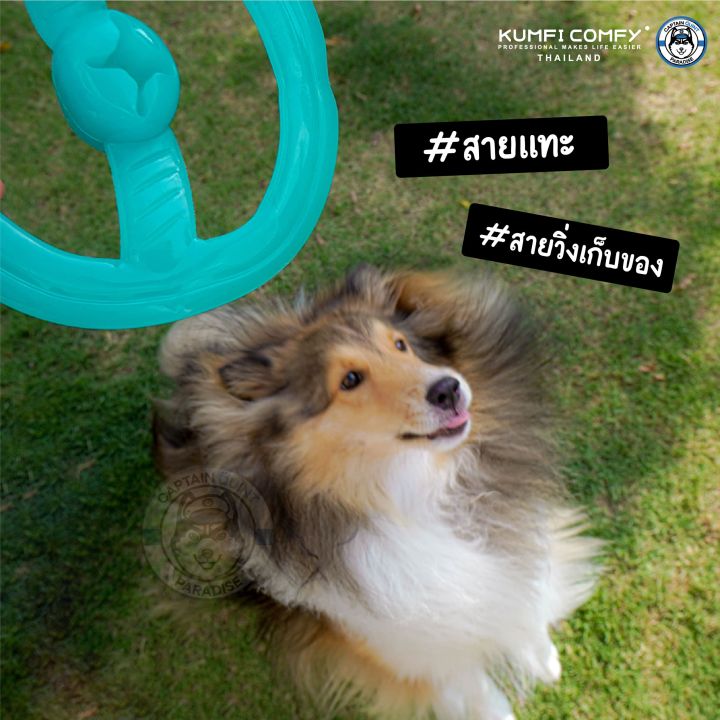 ฟริสบี้-ของเล่นสุนัข-frisbee-chew-kumfi-comfy-จากตัวแทนจำหน่ายอย่างเป็นทางการ-เจ้าเดียวในประเทศไทย