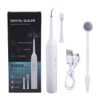 2 In 1 Electric Sonic Dental Calculus Remover พร้อมแปรงสีฟันสำหรับหัวฟัน