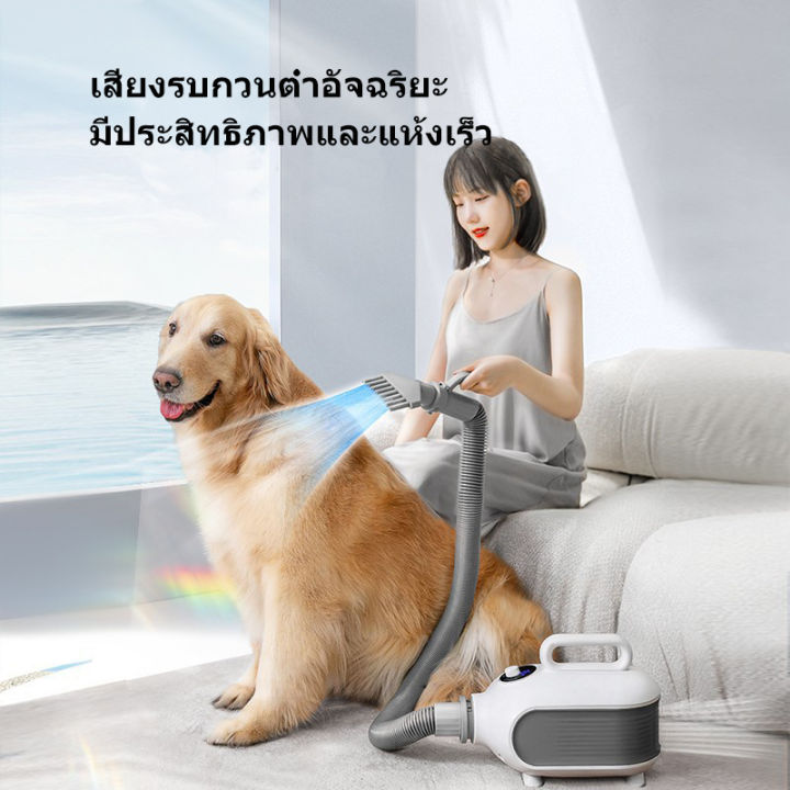 high-power-cat-dryer-water-blower-อุปกรณ์อาบน้ำสุนัขในครัวเรือนเครื่องเป่าขนสุนัขไดร์เป่าขนแมวไดร์ไล่น้ำเสียงเลมแรงเป่าร้อนเย็นไดร์เป่าผมสำหรับสัตว์เลี้ยงไดร์เป่าผมสำหรับสัตว์เลี้ย