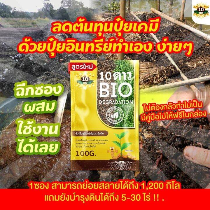 ส่งฟรี-ส่วนลดเพิ่ม-10ดาวไบโอ-ซื้อ6แถม1-จุลินทรีย์-สูตรใหม่-10-dao-bio-ช่วยย่อยสลายฟาง-สสายหญ้า-ตอซังข้าว-กองใบไม้-หัวเชื้อจุลินทรีย์