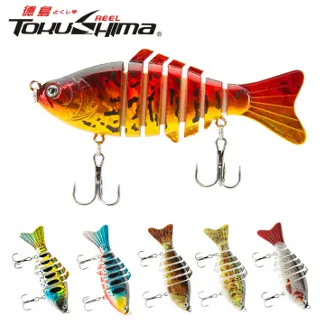 Shop Segmented Fish Lure with great discounts and prices online - Apr 2024