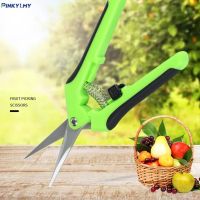 【Ready Stock】 ₪♕✟ D50 Gardening scissors stainless steel straight end elbow flower branch pruning scissors fruit thinning grape scissors