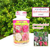 ปุ๋ยน้ำสำหรับบอนสี คาลาเดียมโปร 250ml ปลอดสารเคมี 100% เร่งการเจริญเติบโตดี สีสวยสมบูรณ์