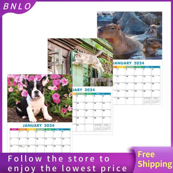 BNLO from JAN. 2024 to JAN. 2025 2024 Wall Calendar Dog Cat Sea Otter