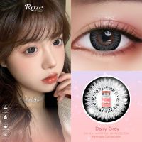 คอนแทคเลนส์ Roze Hydrogel รุ่น Daisy Gray (สีเทา)