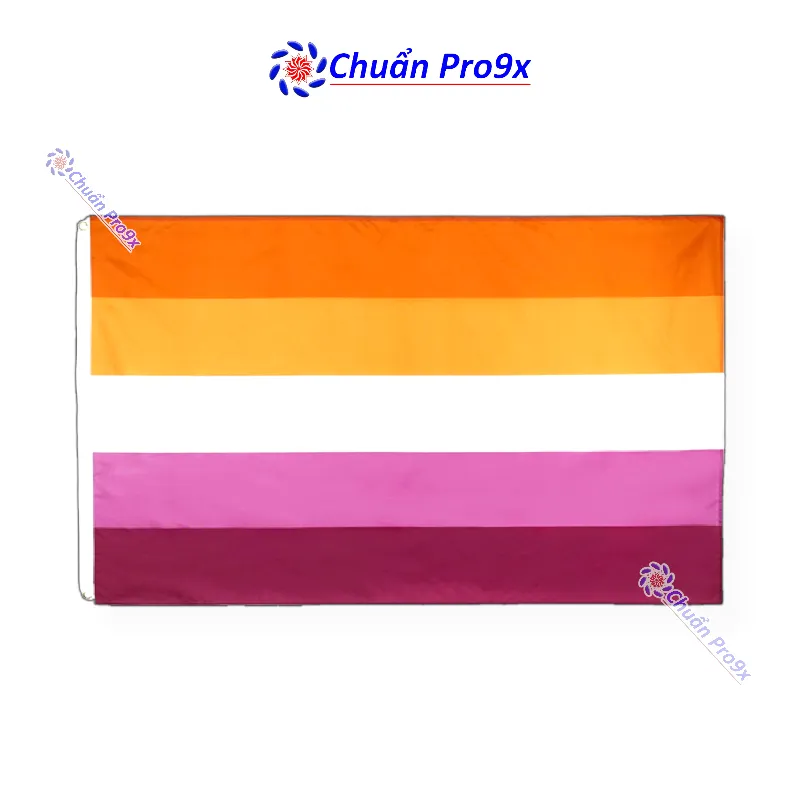 Cờ LGBT có mấy màu ý nghĩa là gì Các lá cờ LGBT  METAvn