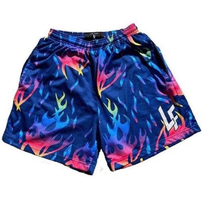 LF Mens Sports Mesh Shorts US Style Above The Knee Quick Drying Breathable Shorts Running Fitness Unisex Beach Pants