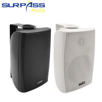 Passive HiFi Stereo PA System Wall Mount Speaker Sound Powerful Bass Home Audio Public Address Speakers 70V100V8ohm 20W