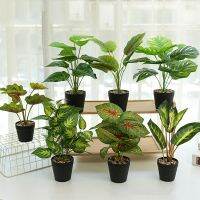 【cw】 Artificial Turtle Leaves Bonsais Broadleaf Pots for Indoor Desktop  Ornaments