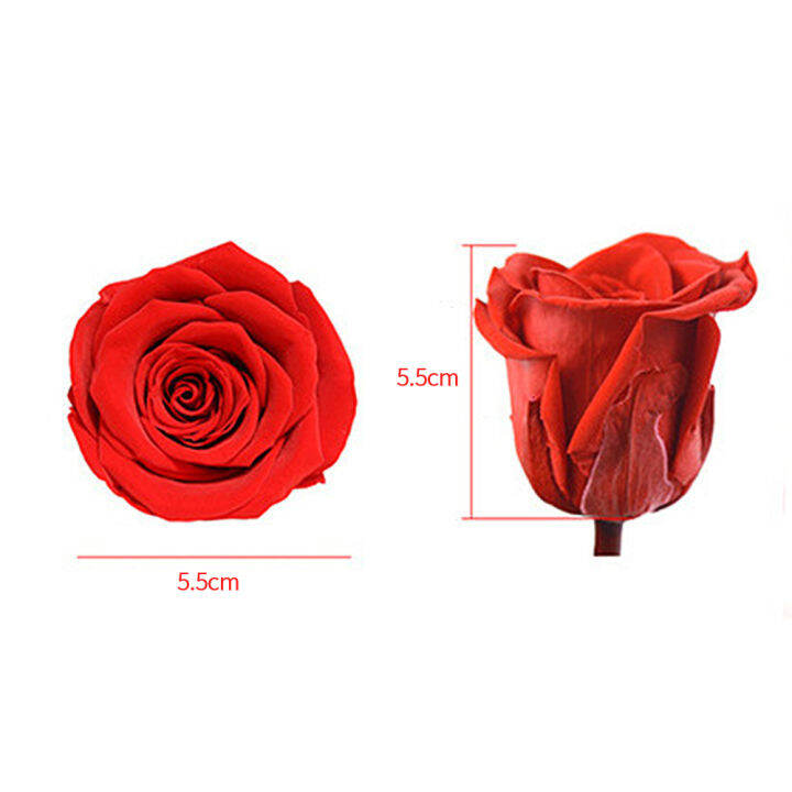 6pcs-5-6cm-quality-decoration-immortal-wedding-home-high-flower-rose-preserved