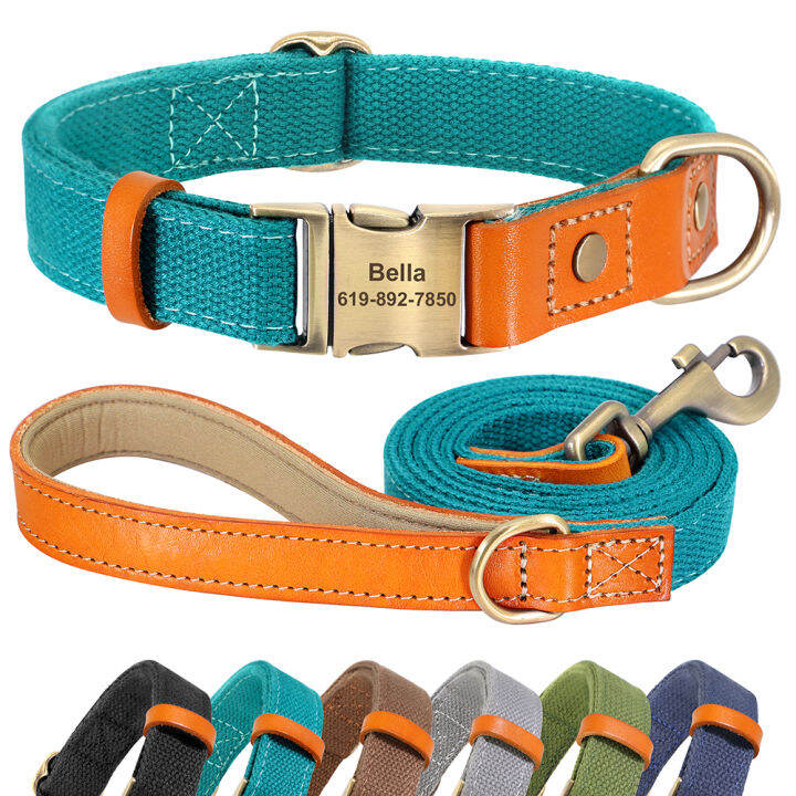 Orange dog collar with nameplate sale