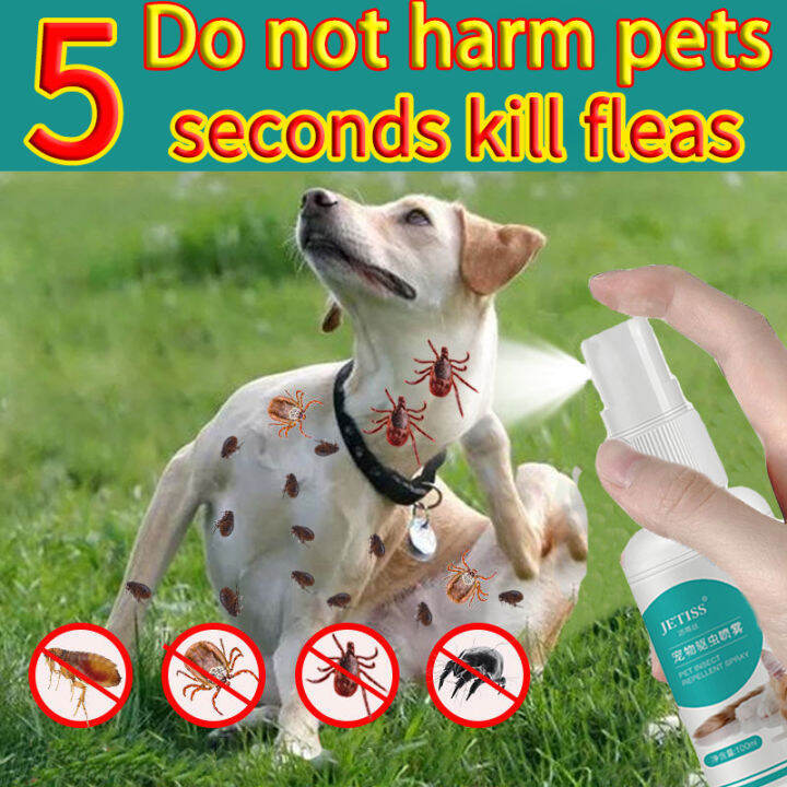 🐶100 authentic and effective🐱vetcore fleas and ticks remover 100ml
