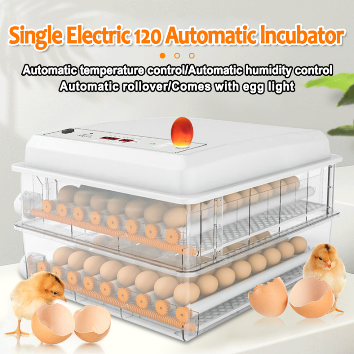 220V 120 Eggs Incubator Digital Automatic Egg Incubator Dual Power