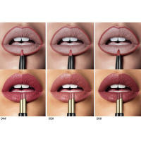 Double End Lasting Lipliner Waterproof Matte Lip Liner Pencil Lipstick