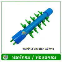 Air Controller ท่อพักลม ขนาดท่อ 6 หุน ใช้กับปั๊มลม เข้า 2 ทาง ออก 10 ทาง