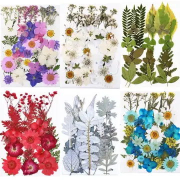 1box Dried Flowers For Candle, Making Dry Pressed Flowers For Art Craft,  Mixed Multiple Colorful Dried Flowers For Soap Candle Scrapbooking DIY Resin