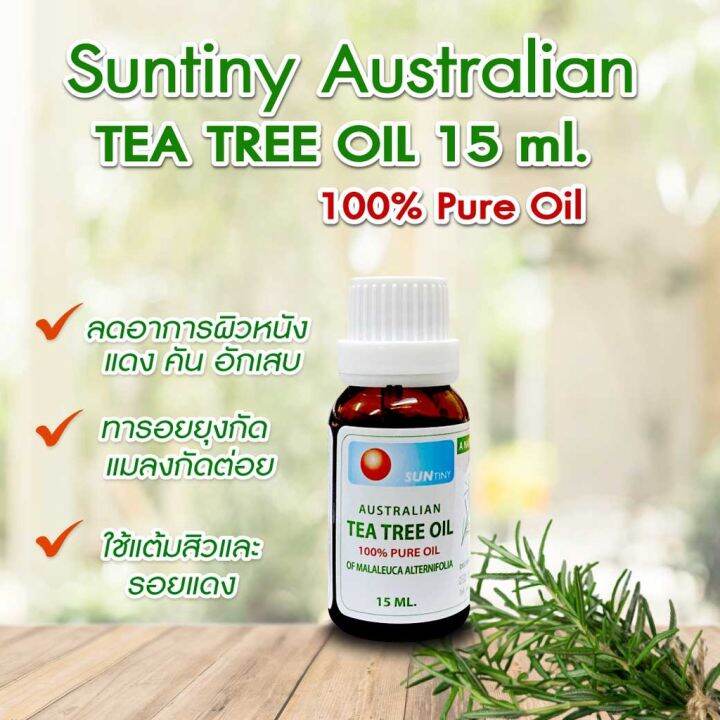 suntiny-australian-tea-tree-oil-15-ml-ซันตินี่-ออสเตรเลียน-ที-ทรี-ออยล์-น้ำมันหอมระเหย-ที-ทรี-ออยล์-แท้-100-1-ขวด-บรรจุ-15-มิลลิลิตร