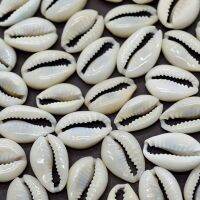 Cowrie Shells Jewelry Making