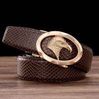 Fashion snakeskin automatic buckle belt eagle head imitation steel trousers new high-grade