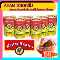 ขายดี AYAM อะยำ 155g 6 กระป๋อง  อะยัม อยำ อยัม กระป๋องเล็ก ปลากระป๋องมาเล ปลาแมคเคอเรล ในซอสมะเขือเทศ Kanom Ban Ban Shop ส่งเร็ว สินค้าใหม่