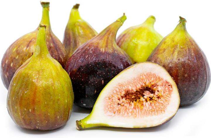 figs-ต้นมะเดื่อฝรั่ง-พันธุ์-brown-turkey-บาวตุรกี-อร่อย-หวาน-หอมมากๆ-ต้นสมบูรณ์มาก-รากแน่นๆ-จัดส่งพร้อมกระถาง-6-นิ้ว-ลำต้นสูง-45-50-ซม-ต้นไม้แข็งแรงทุกต้น