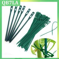 50pcs Plastic Plant Cable Ties Reusable Tools Garden Grow Kit Tree Climbing Support Gardening Planter 13.5cm 17cm QB7LA Shop