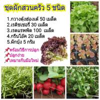 ชุดเมล็ดพันธุ์ผัก (Proหน้าฝน) รวม 5 ชนิด พร้อมวิธีการปลูก **ราคาถูก ปลูกง่าย เหมาะกับมือใหม่หัดปลูกผัก ผักบุ้ง กรีนโอ๊ค กวางตุ้ง เรดิชเชอ์